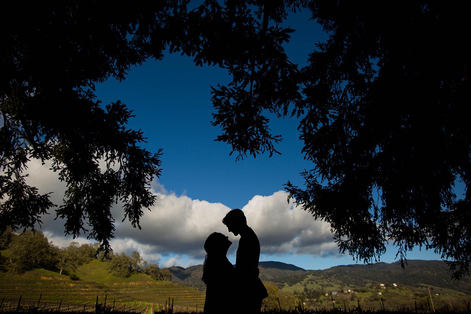 Nelson Family Vineyards Engagement Session