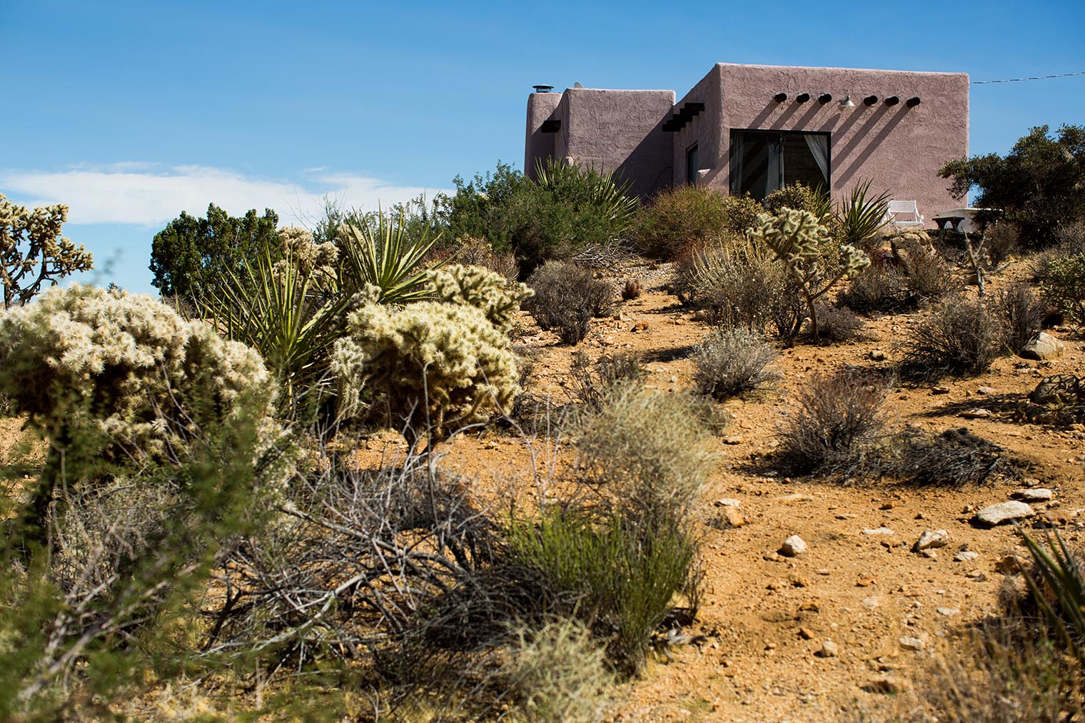 Sacred Sands Joshua Tree Wedding