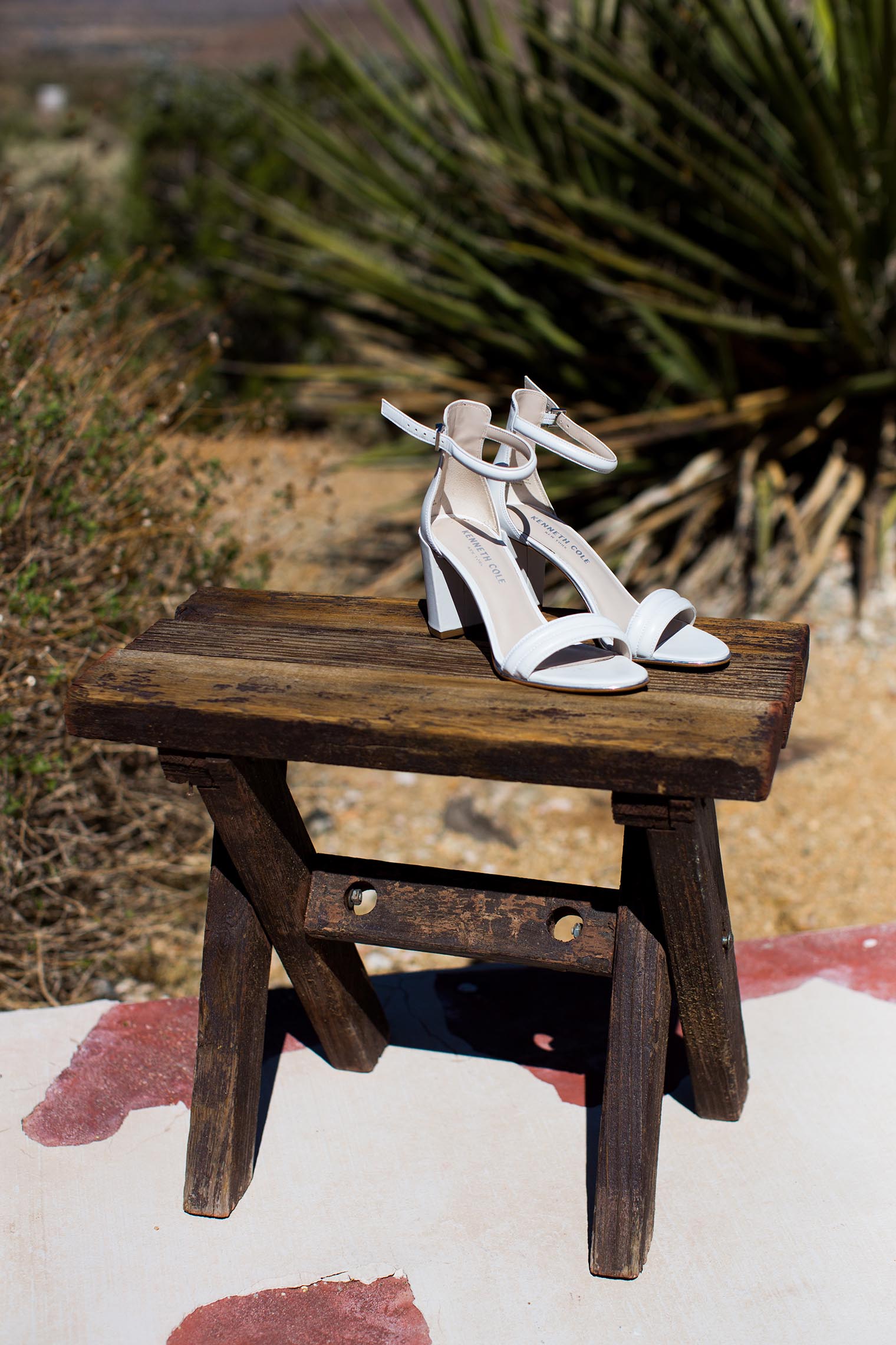 Sacred Sands Joshua Tree Wedding