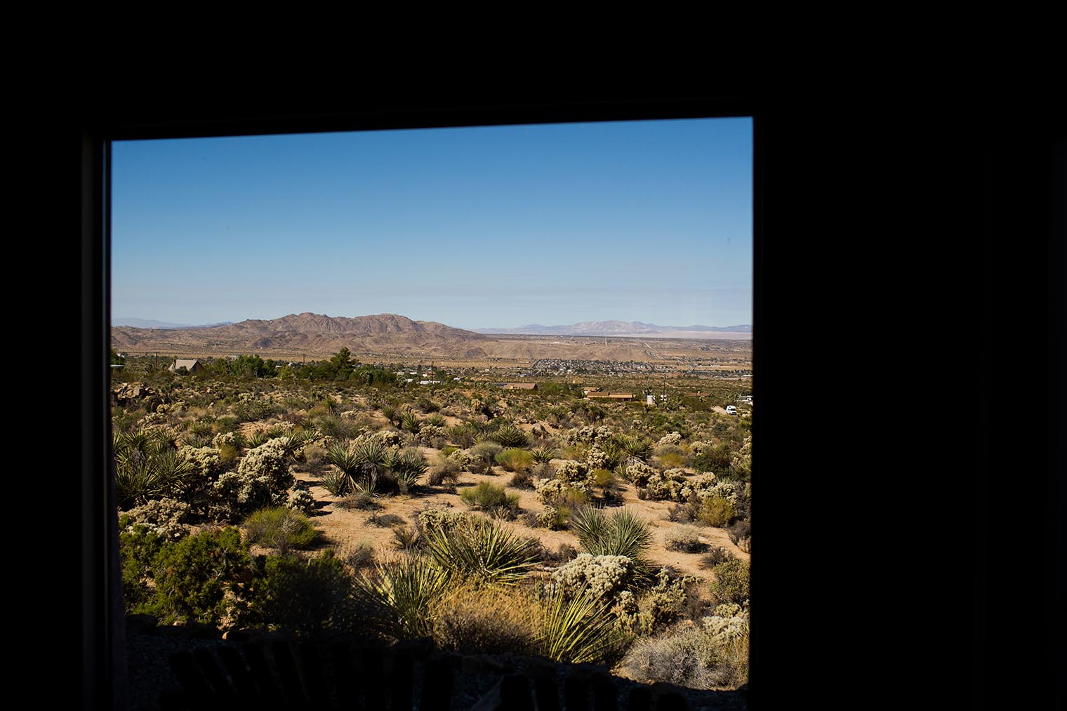 Joshua Tree Wedding