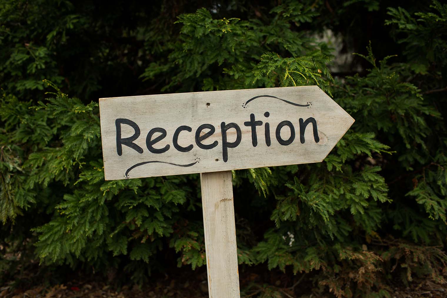 Union Hill Inn Wedding Photographer 
