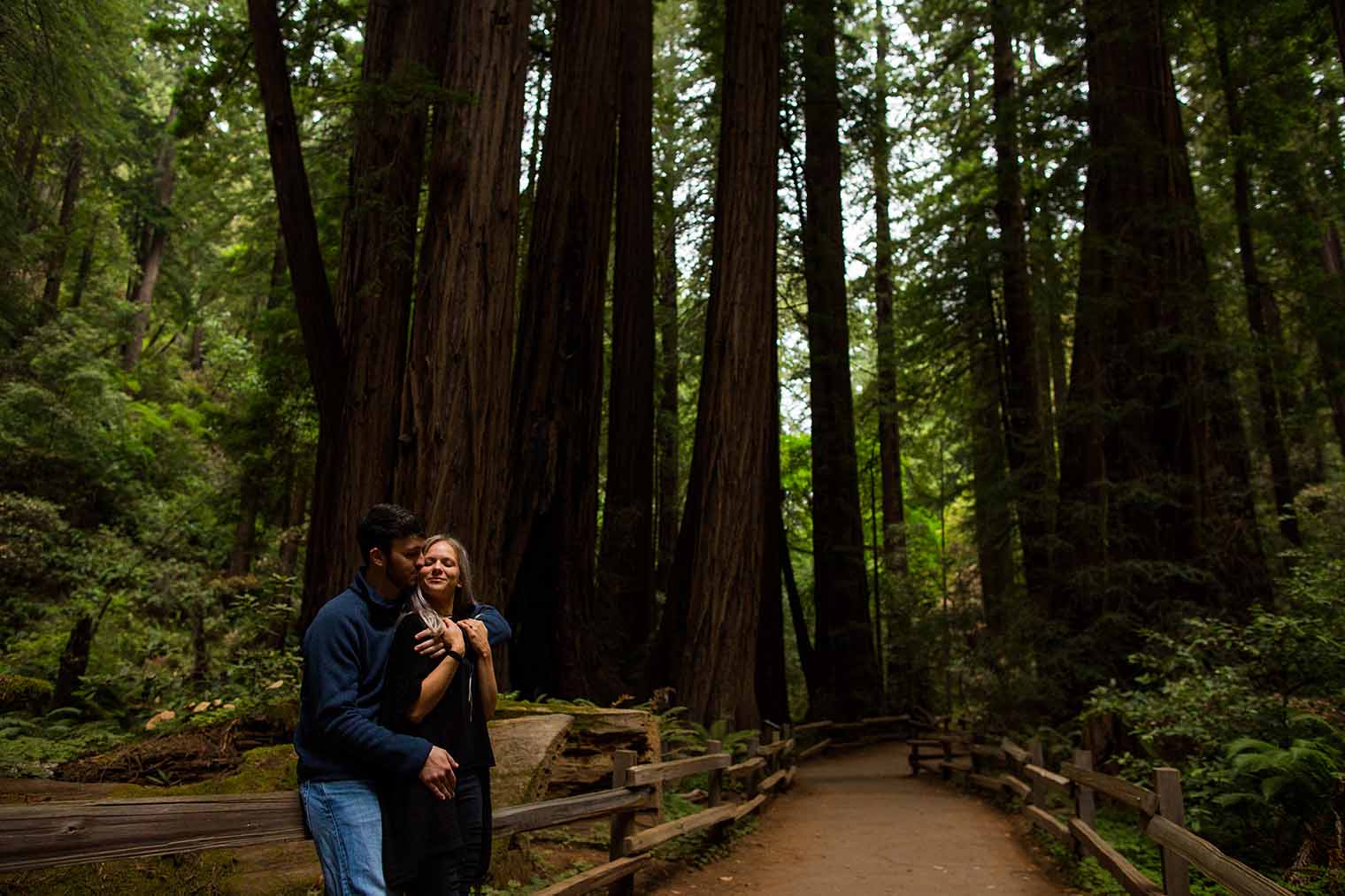 Muir Woods Proposal