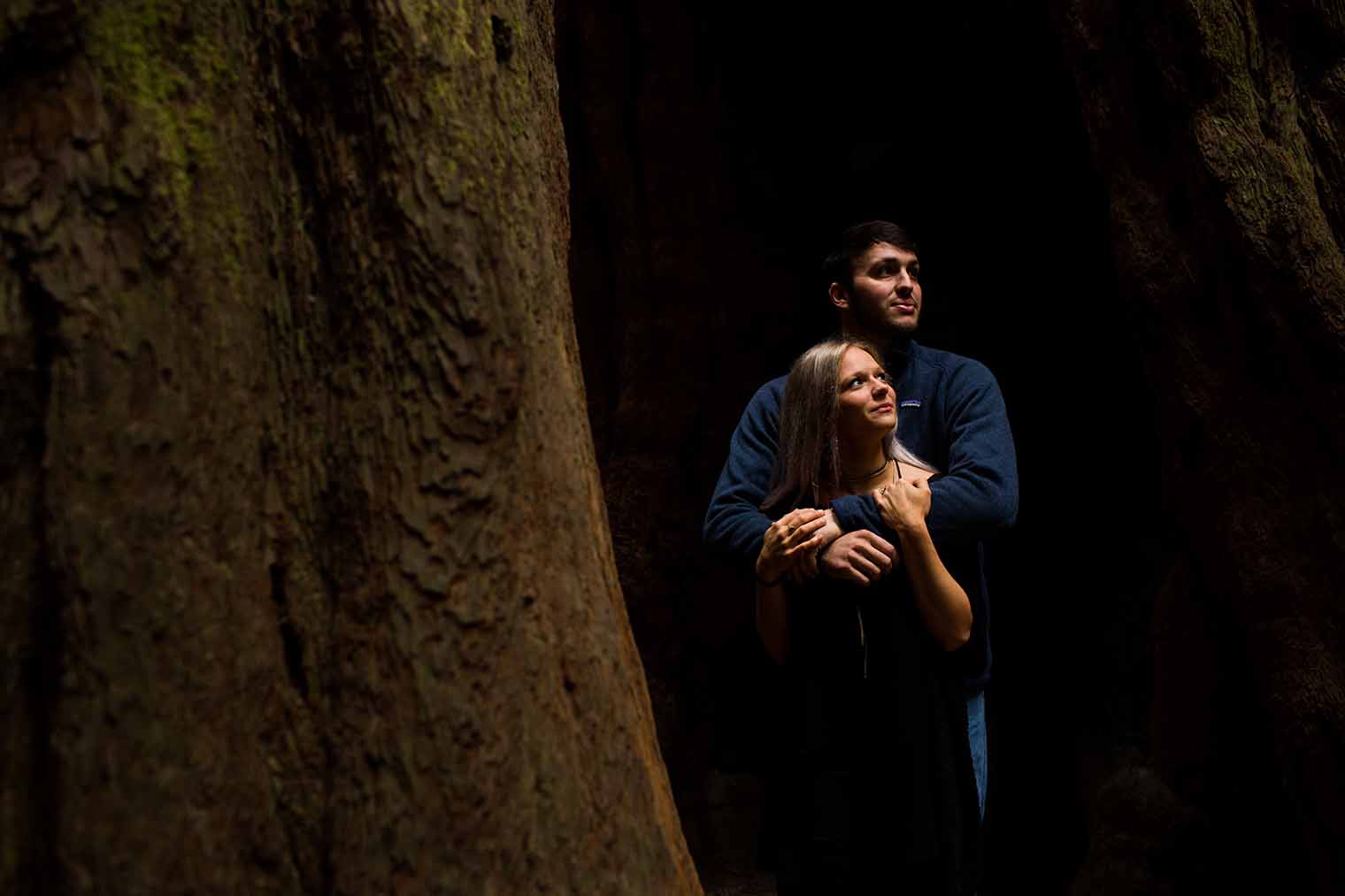 Muir Woods Proposal 