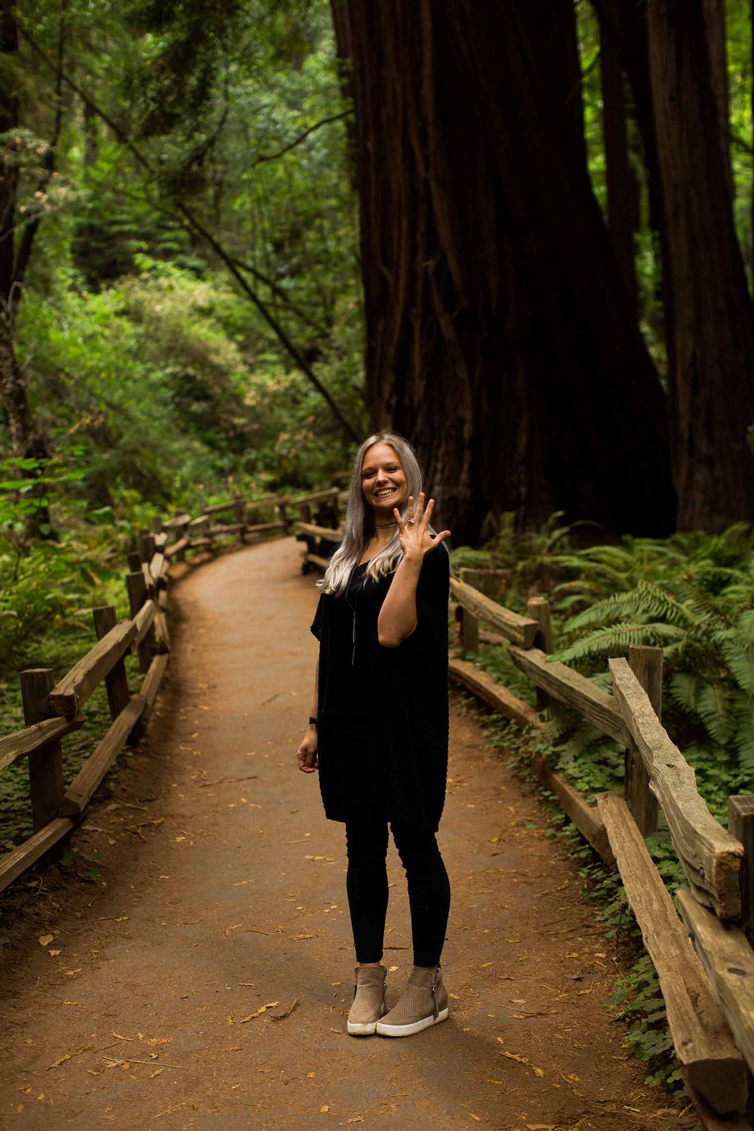 Muir Woods Proposal