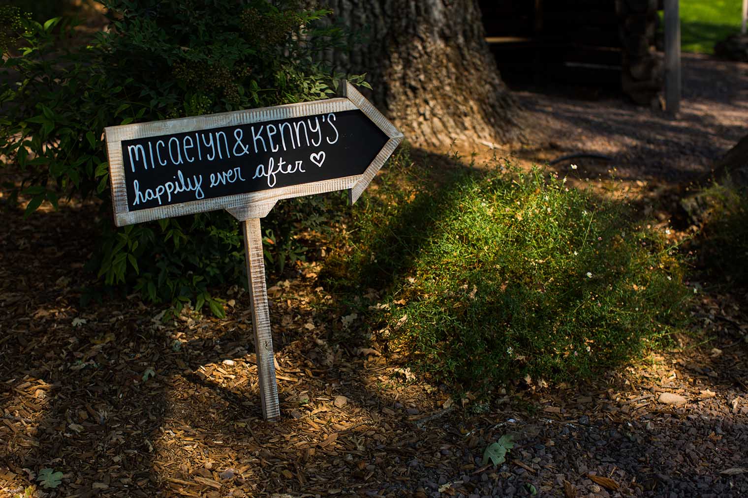 Nelson Family Vineyards Wedding