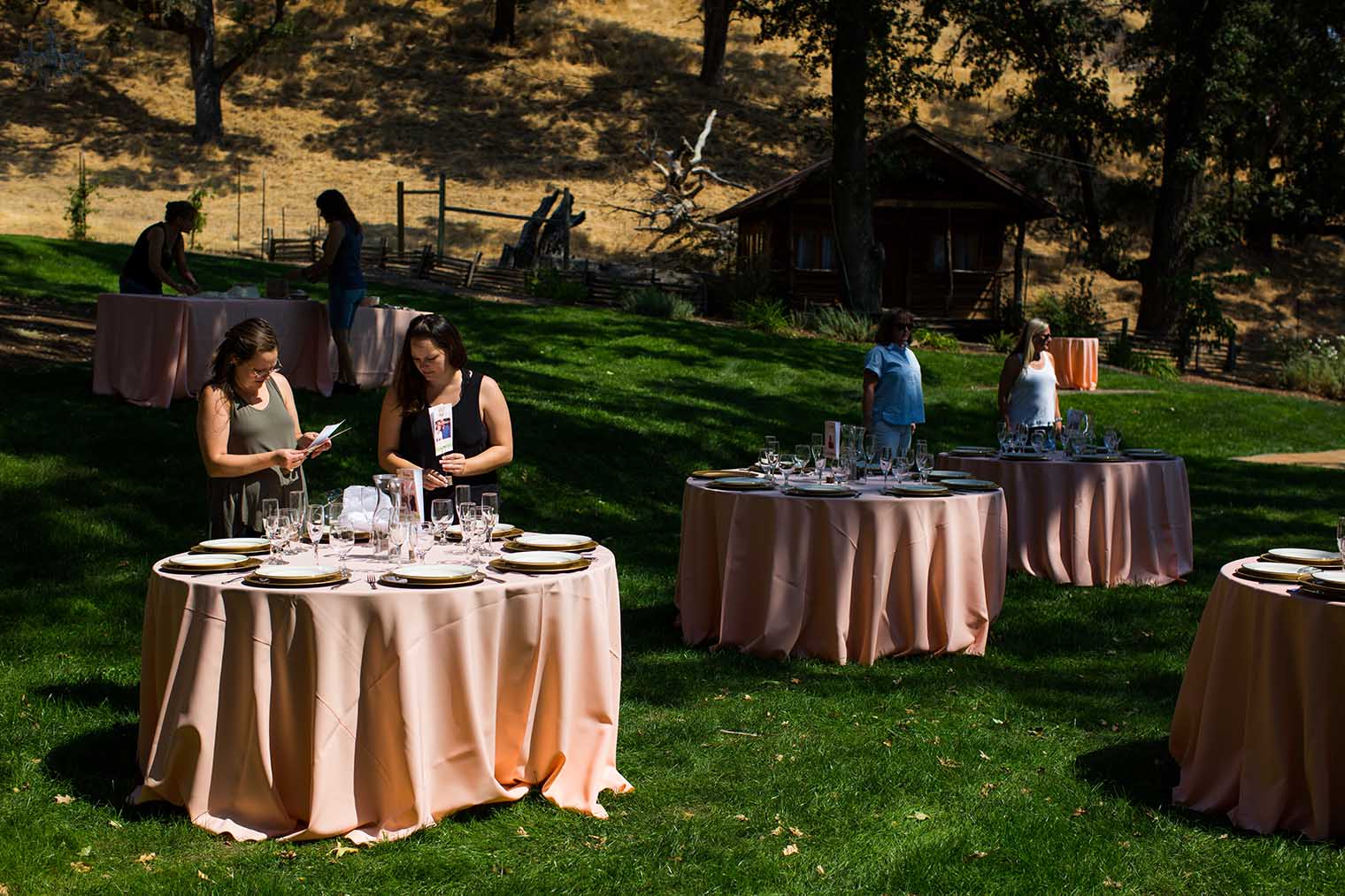 Nelson Family Vineyards Wedding