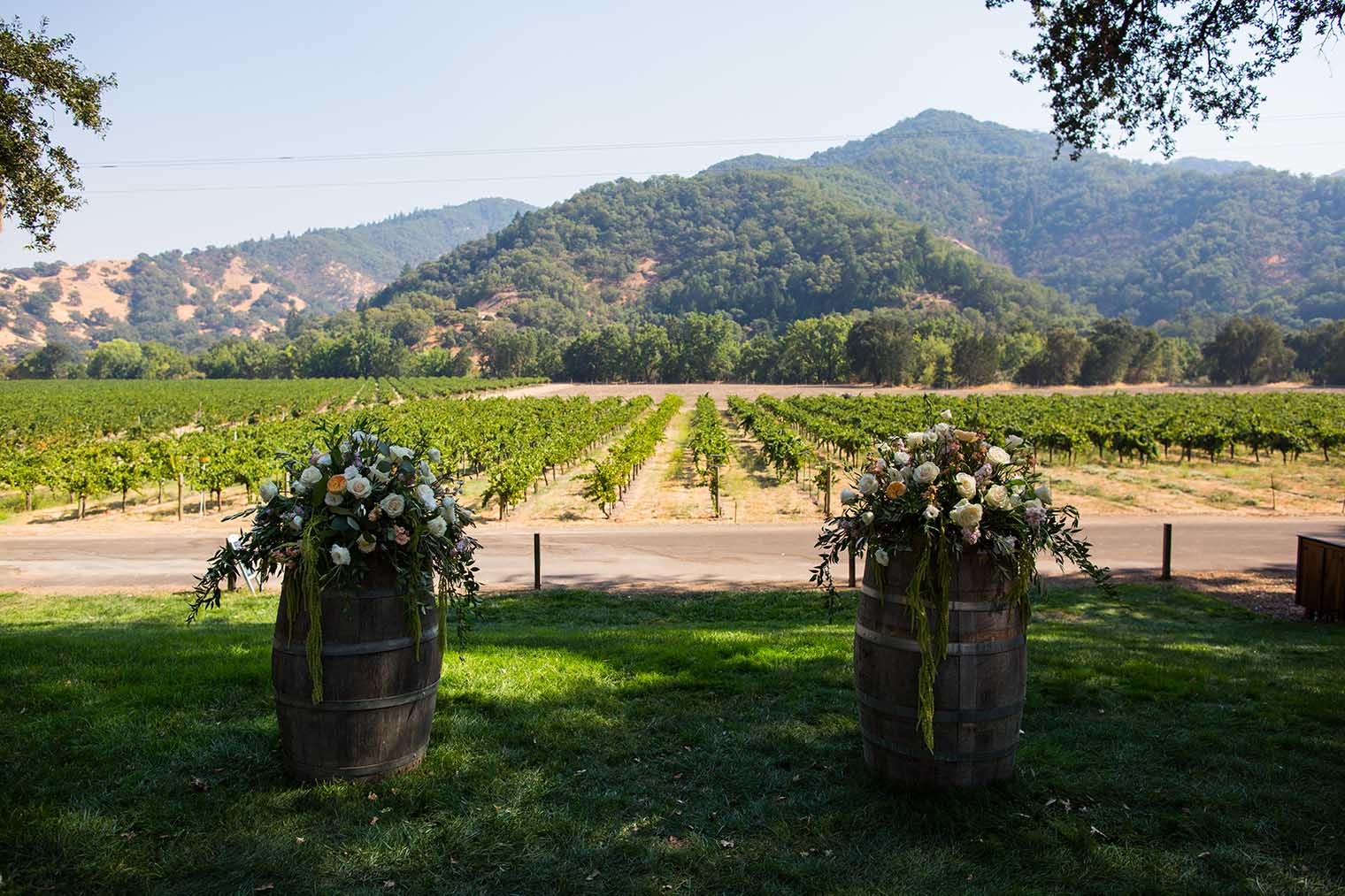 Nelson Family Vineyards Wedding Ceremony