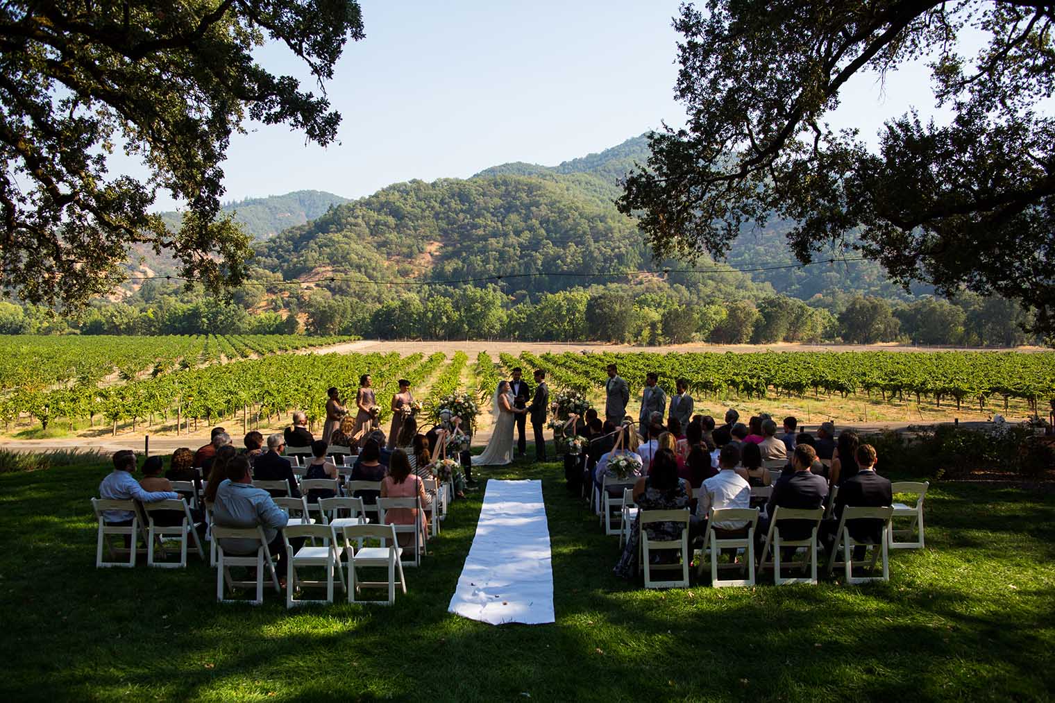 Nelson Family Vineyards Wedding Ceremony 