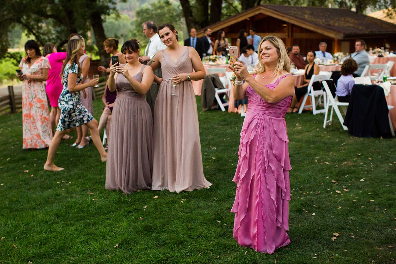 Nelson Family Vineyards Wedding Reception 