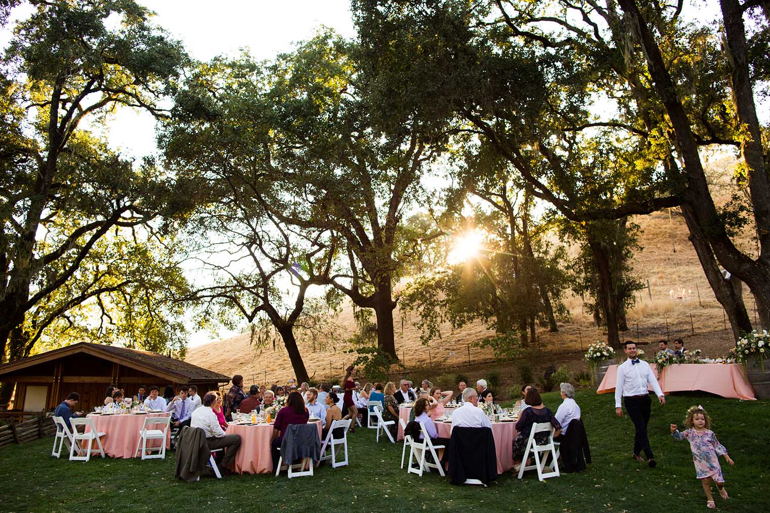 Nelson Family Vineyards Wedding Reception