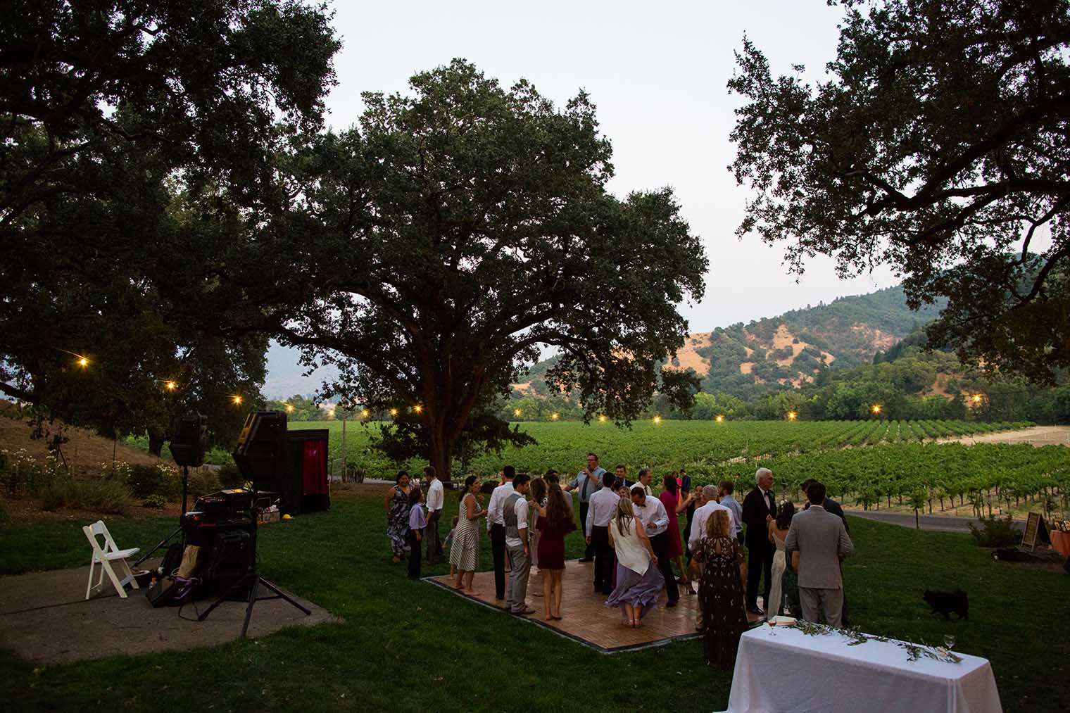 Nelson Family Vineyards Wedding Reception