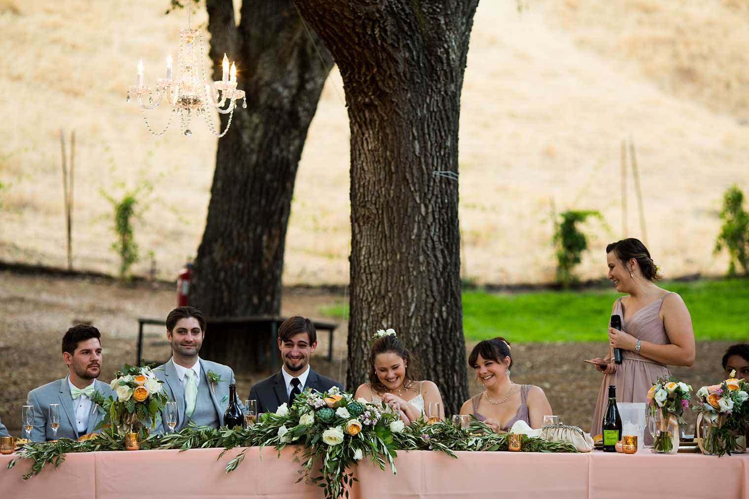 Nelson Family Vineyards Wedding Reception 