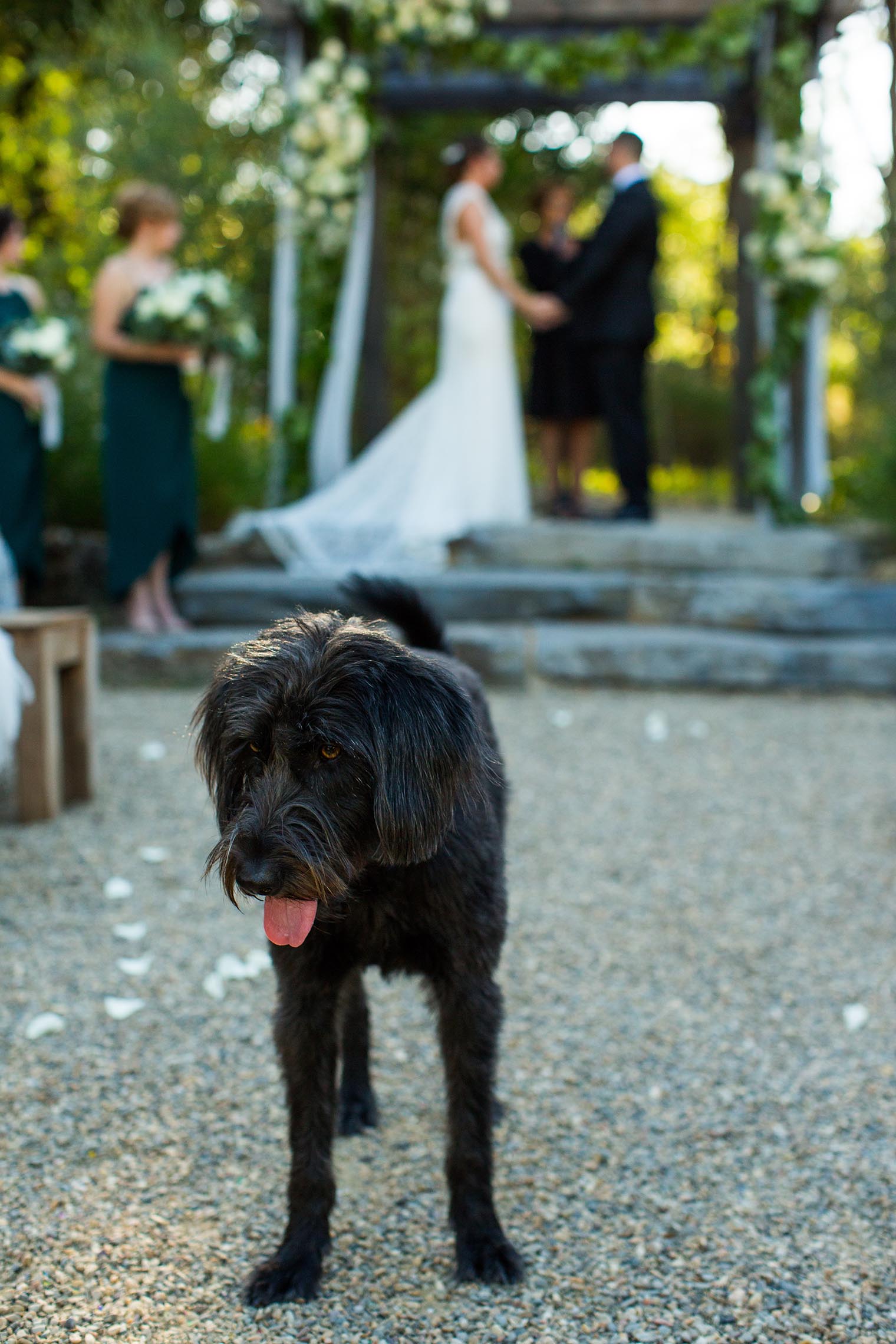 Yokayo Ranch Wedding Ceremony