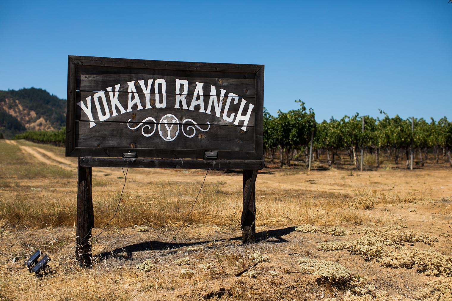 Yokayo Ranch Wedding 