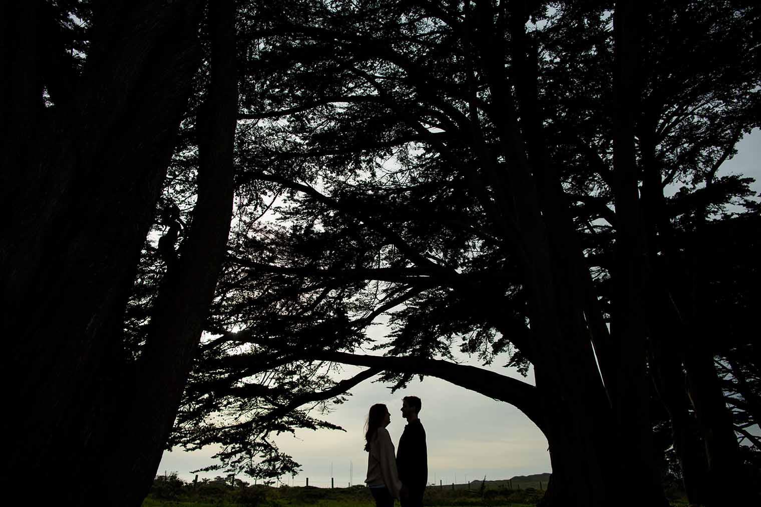 pt reyes engagement session 