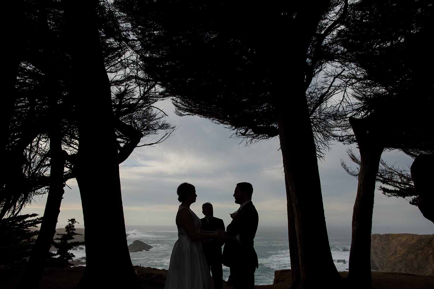 elopement at Mendocino headlands state park