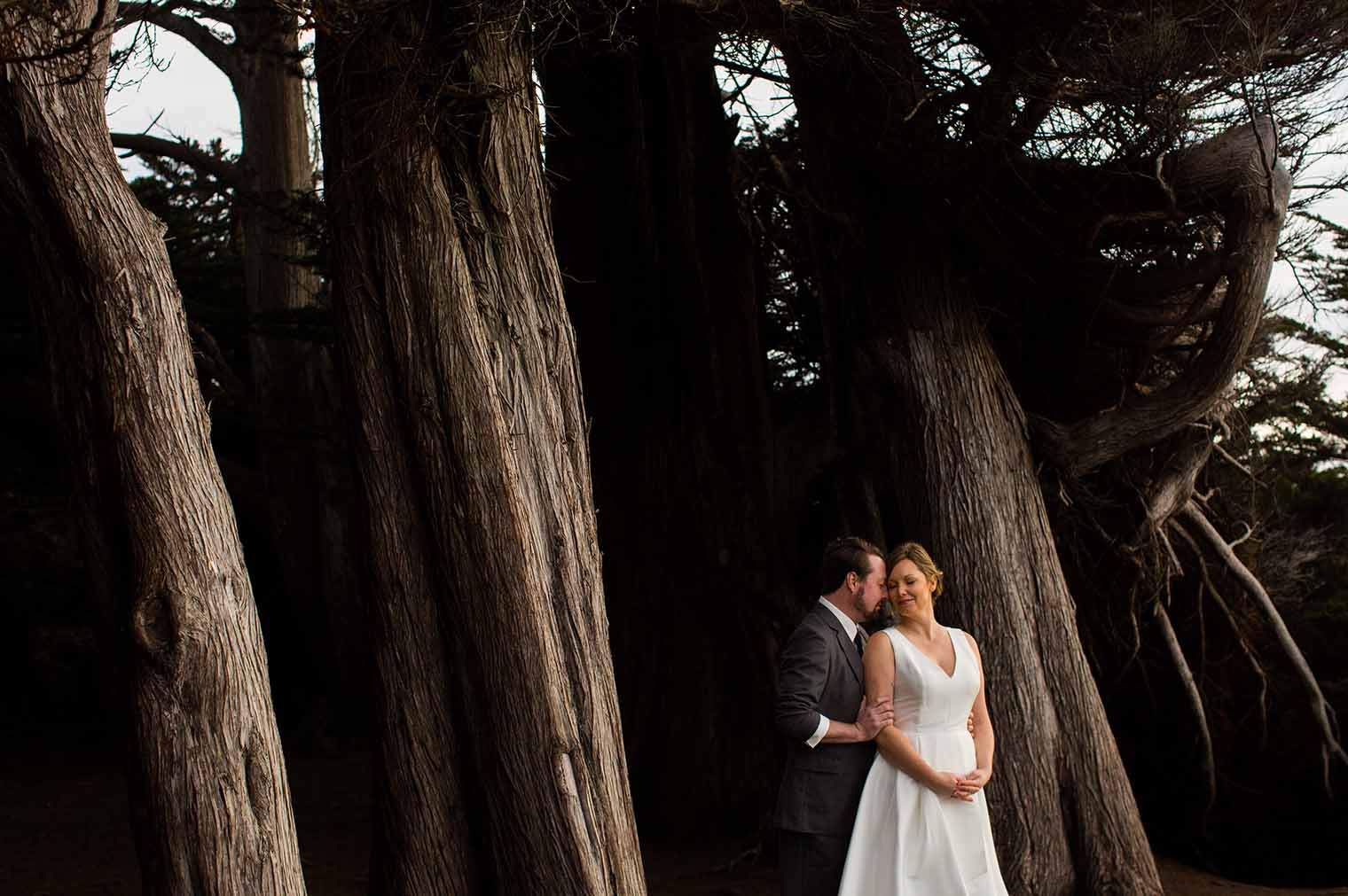Mendocino Elopement Photographer