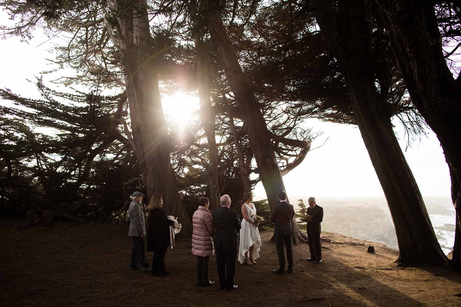 cypress Grove elopement photographer