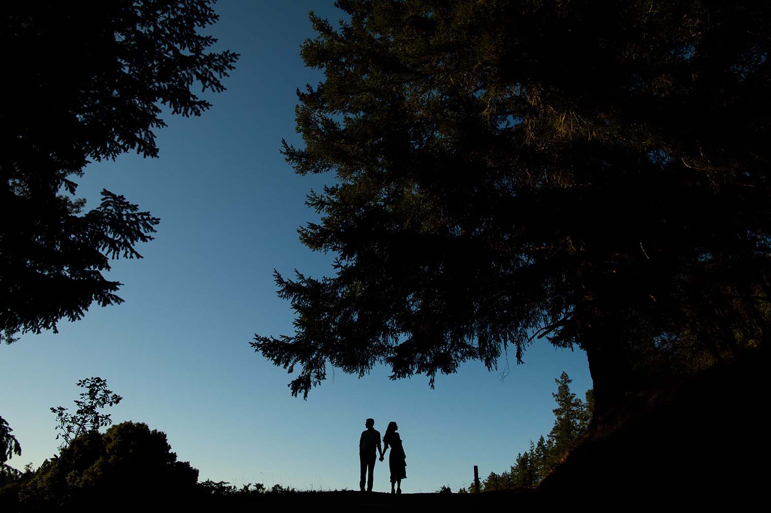 Boonville California engagement photography