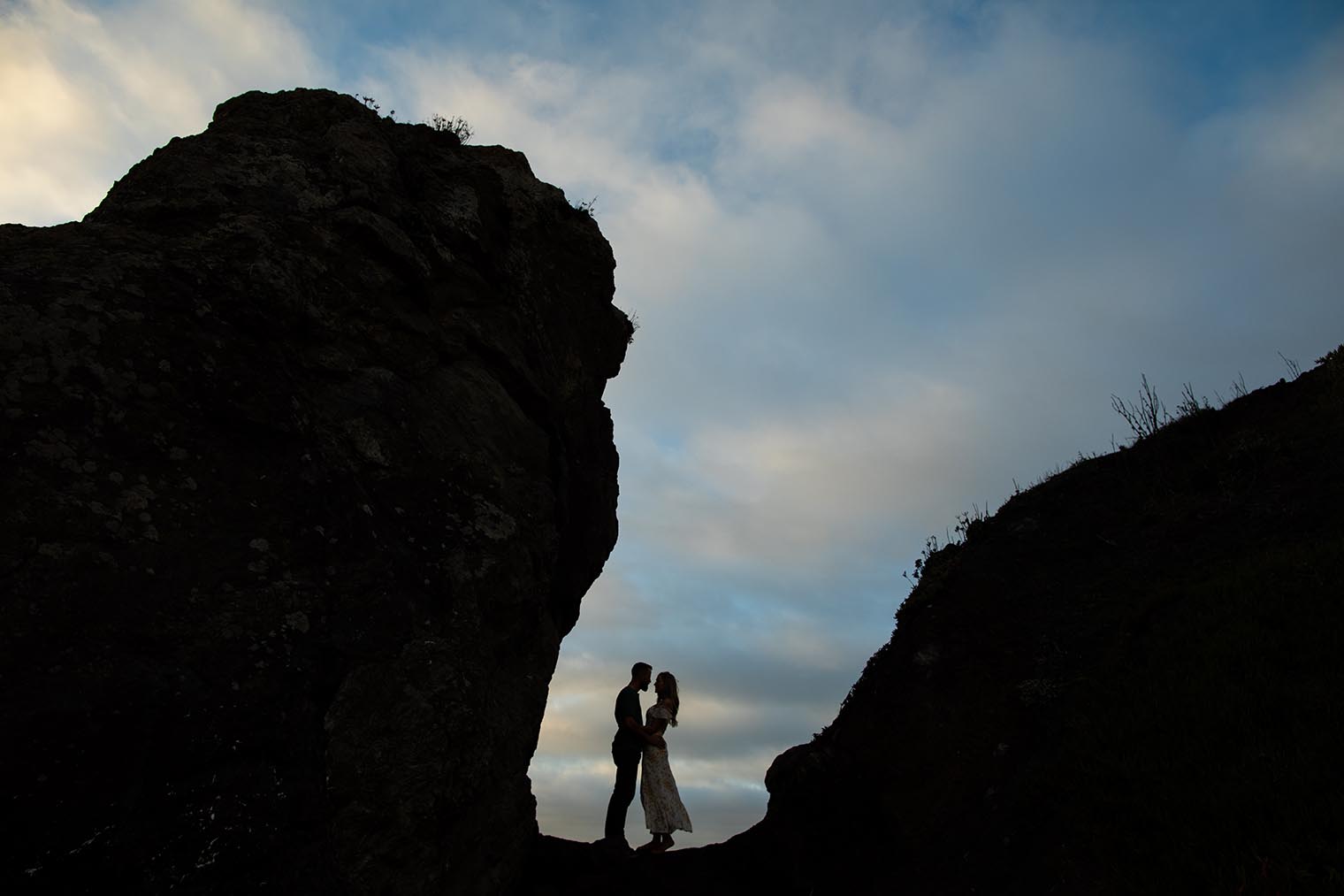 Sonoma Coast Engagement Session