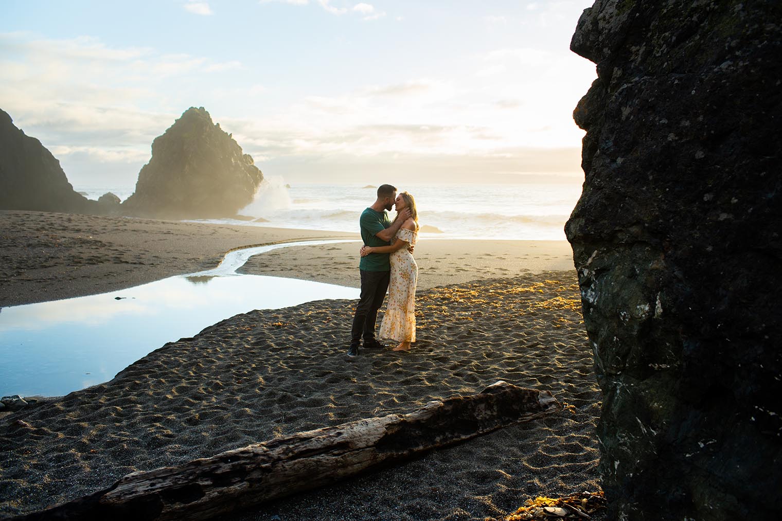 Sonoma Coast Engagement Session