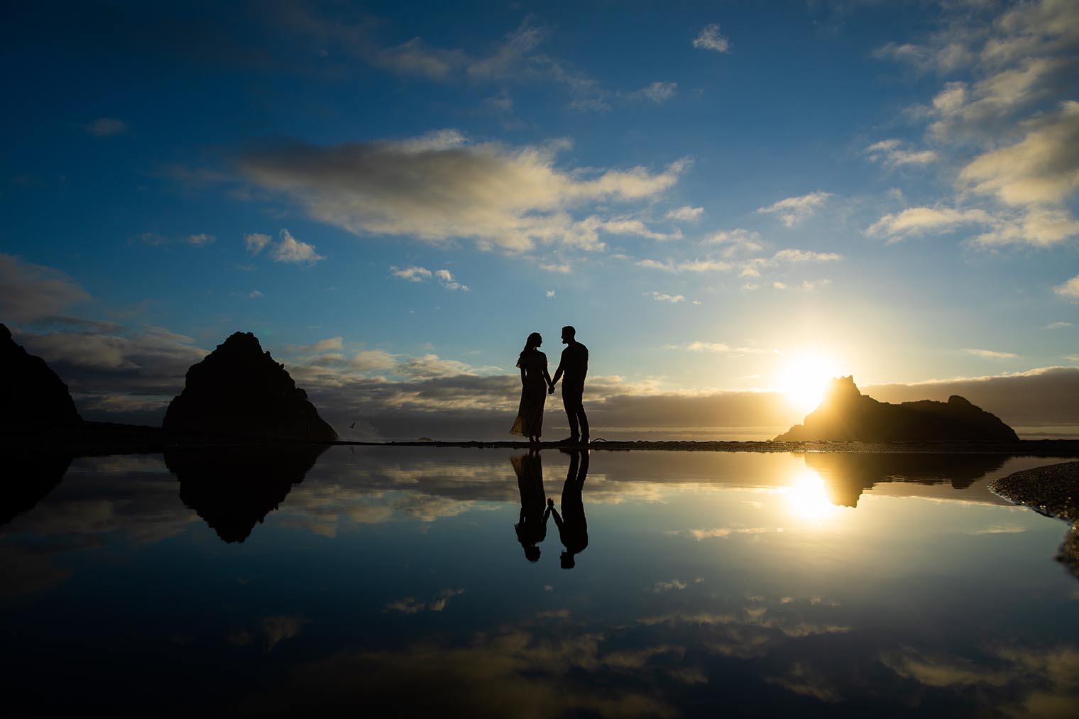 Sonoma Coast Engagement Session