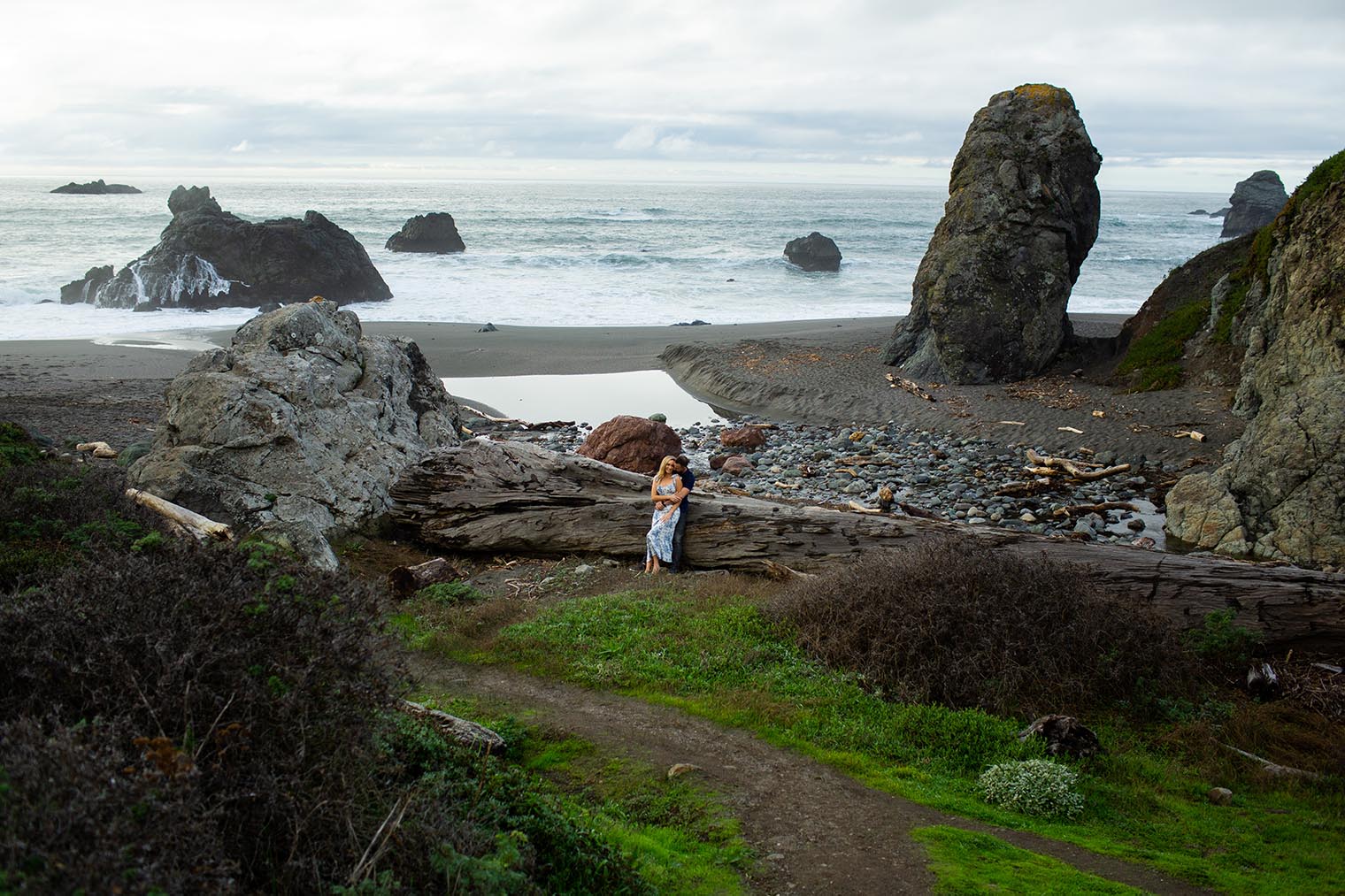 Sonoma Coast Engagement Session