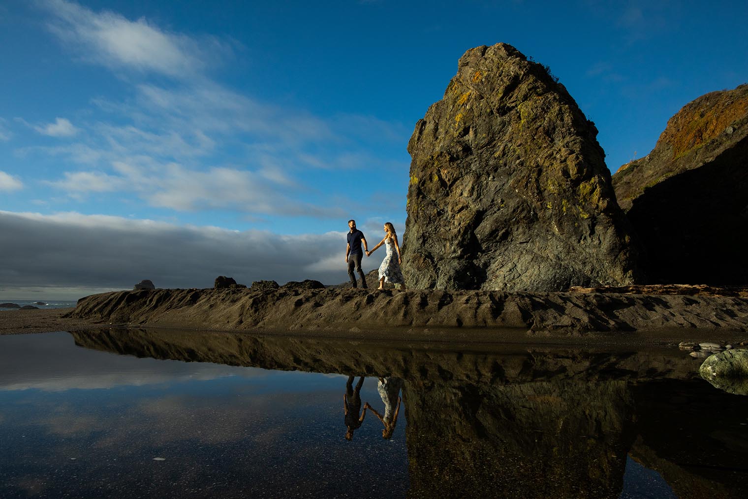 Sonoma Coast Engagement Session
